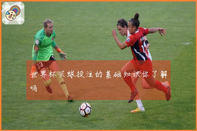 世界杯买球投注的基础知识你了解吗