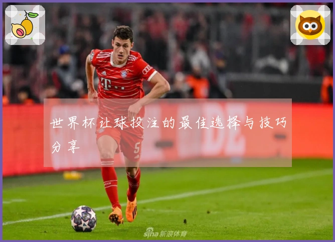世界杯让球投注的最佳选择与技巧分享