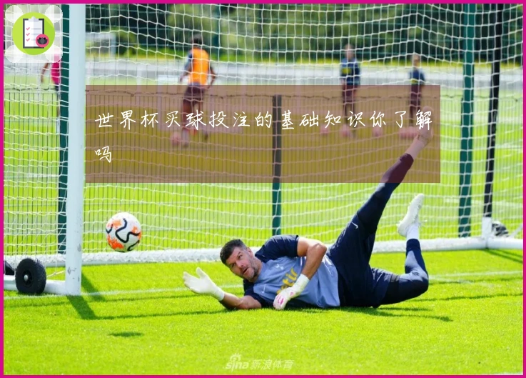 世界杯买球投注的基础知识你了解吗